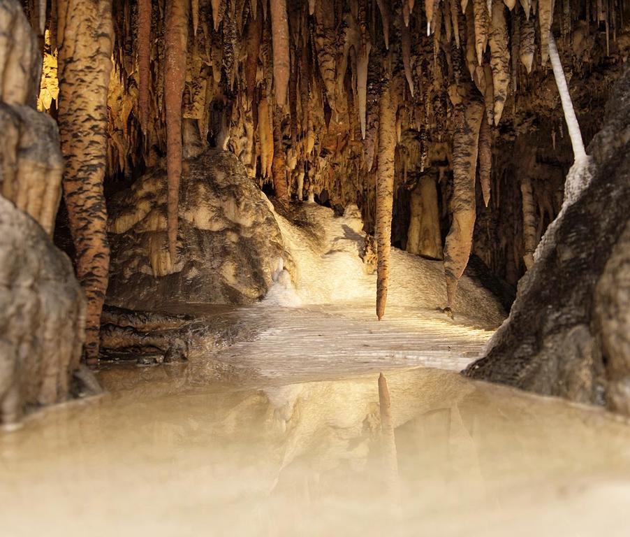 Rainbow Pines Tourist Caravan Park أدامينابي المظهر الخارجي الصورة
